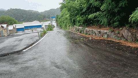 물건 사진 52