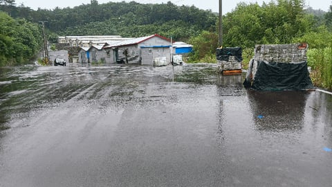 물건 사진 73