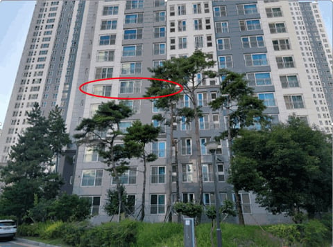 물건 사진 7