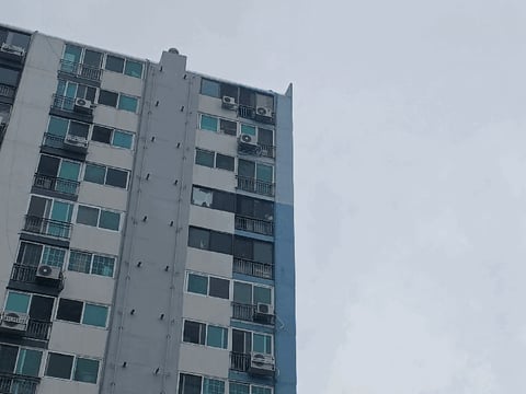 물건 사진 13