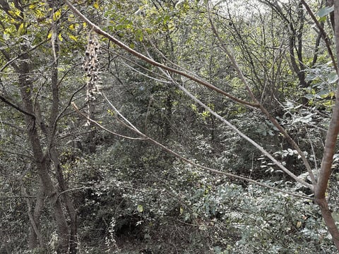 물건 사진 15