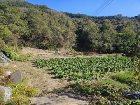 물건 사진 2