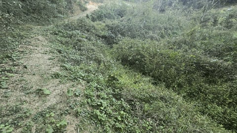 물건 사진 9