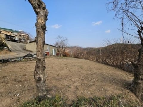 물건 사진 1