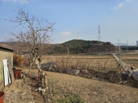 물건 사진 3