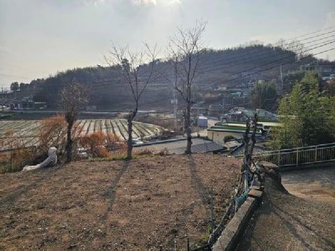 물건 사진 4