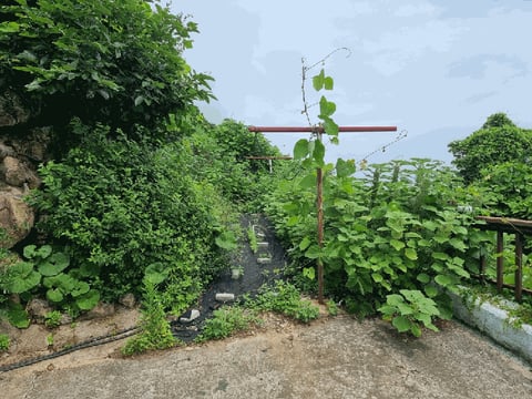 물건 사진 37