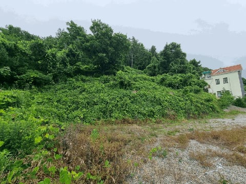 물건 사진 38