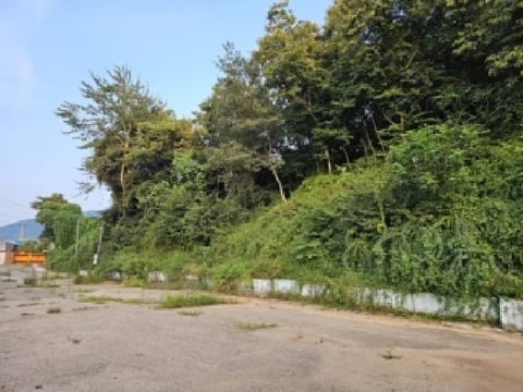 물건 사진 1