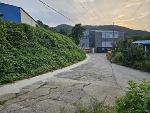 물건 사진 3