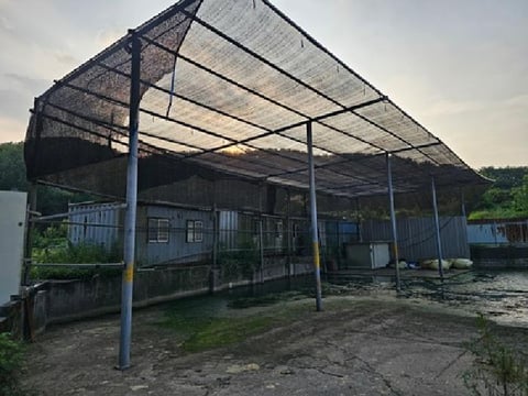 물건 사진 31