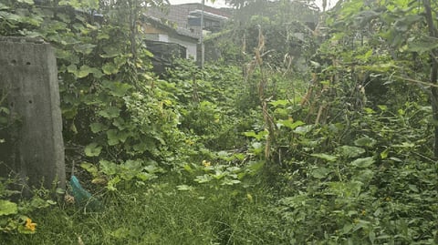 물건 사진 12