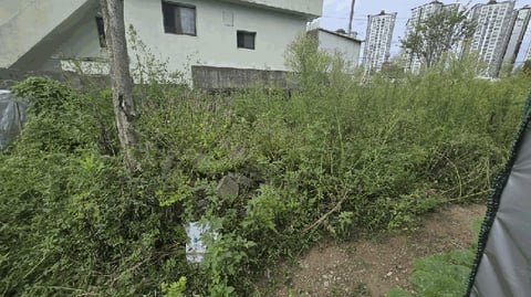 물건 사진 14