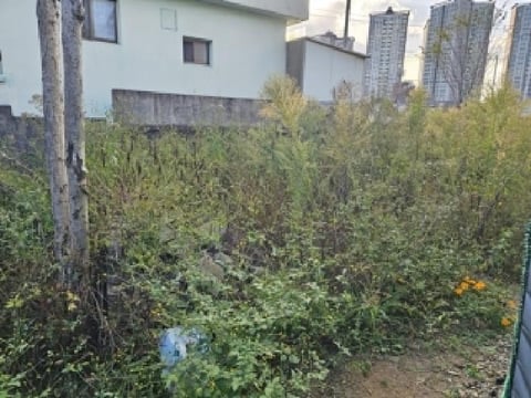 물건 사진 3