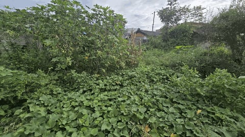 물건 사진 6