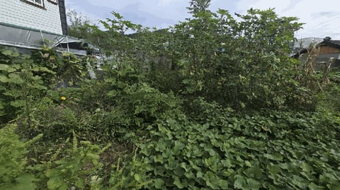 물건 사진 9