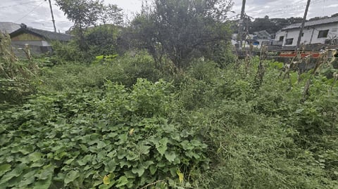 물건 사진 10