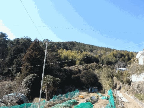 물건 사진 9