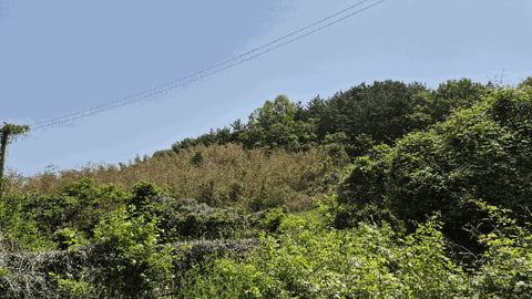 물건 사진 12