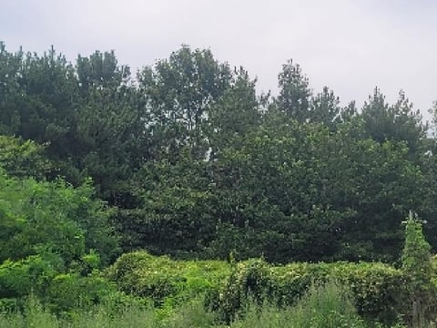 물건 사진 3