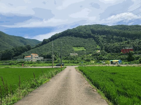 물건 사진 29