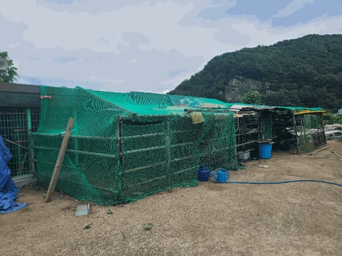 물건 사진 31
