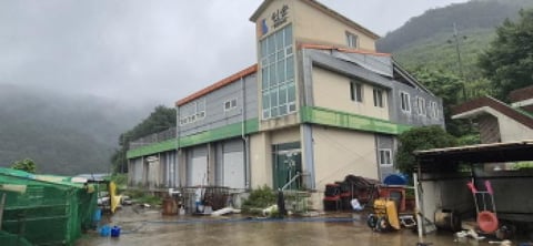 물건 사진 7
