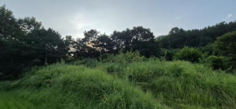 물건 사진 11