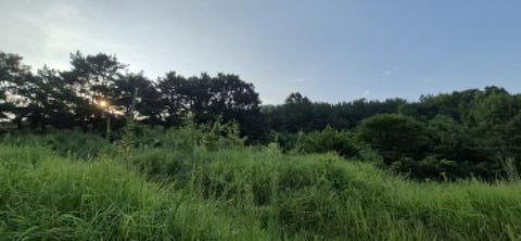 물건 사진 12