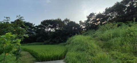 물건 사진 16