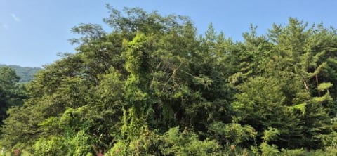 물건 사진 22