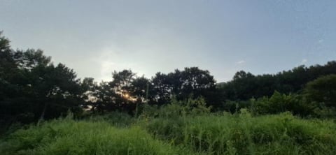 물건 사진 13