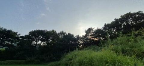 물건 사진 14