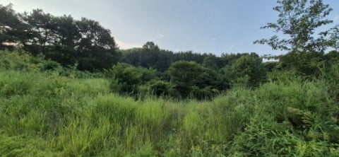 물건 사진 17
