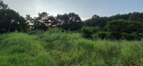 물건 사진 18