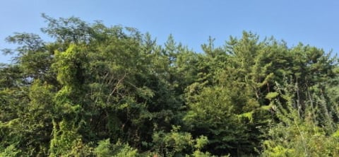 물건 사진 31