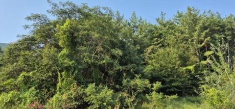 물건 사진 33