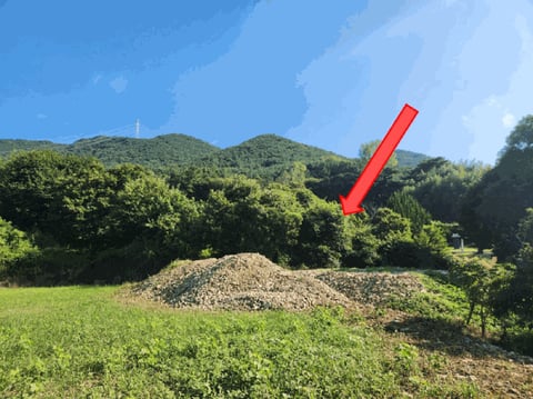 물건 사진 70