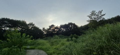 물건 사진 9