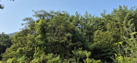 물건 사진 29