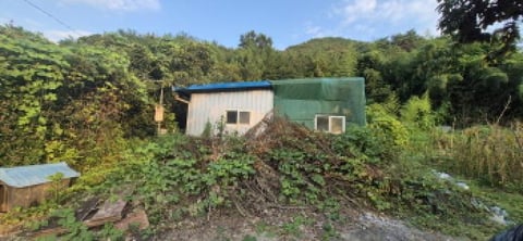 물건 사진 50
