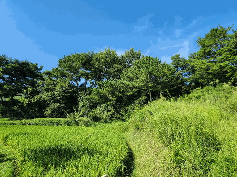 물건 사진 71