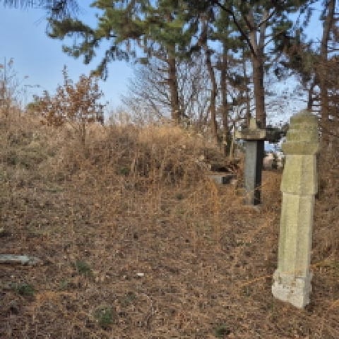 물건 사진 11
