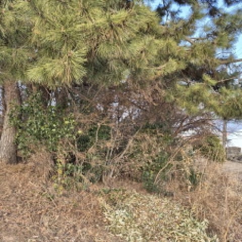 물건 사진 14