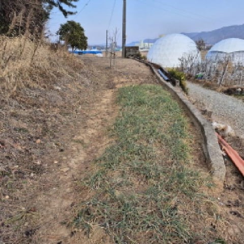 물건 사진 15