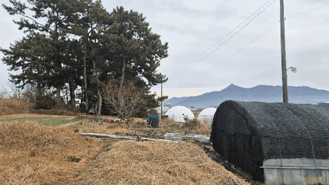 물건 사진 21