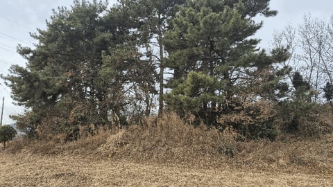 물건 사진 26