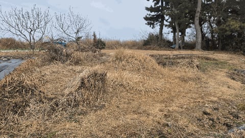 물건 사진 29