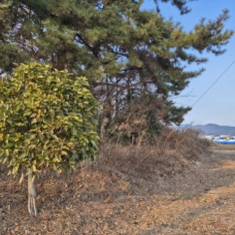 물건 사진 4