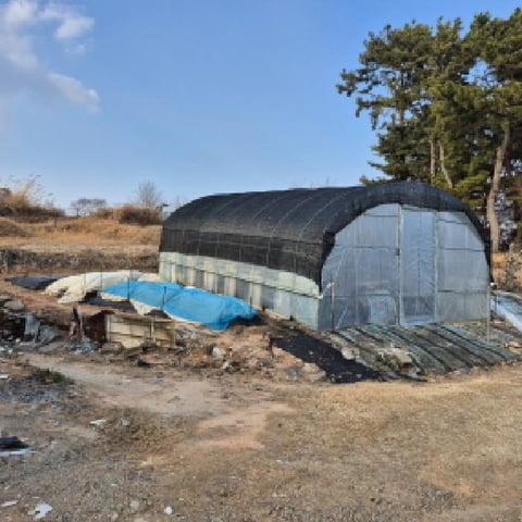 물건 사진 5
